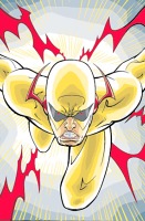 Rogue Profile Covers