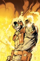 Rogue Profile Covers