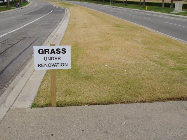 Dry grass... but the sign says it's "under renovation."
