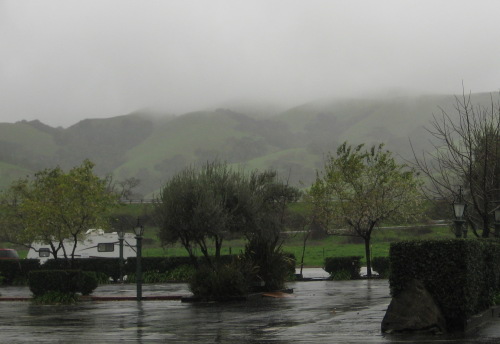 Misty hills and the Casa de Fruta parking lot