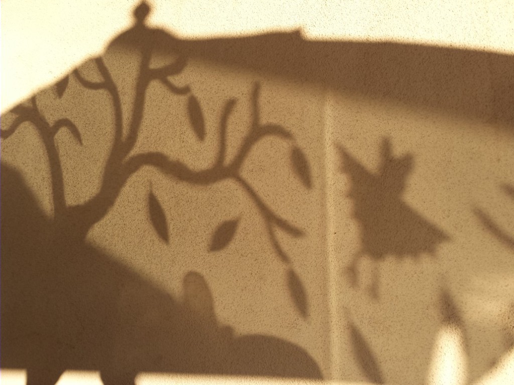 Umbrella shadows and reflection