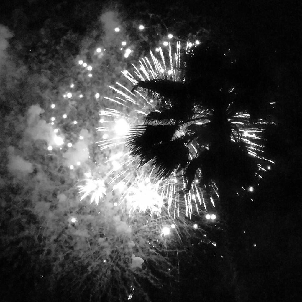Fireworks and Palm Silhouette