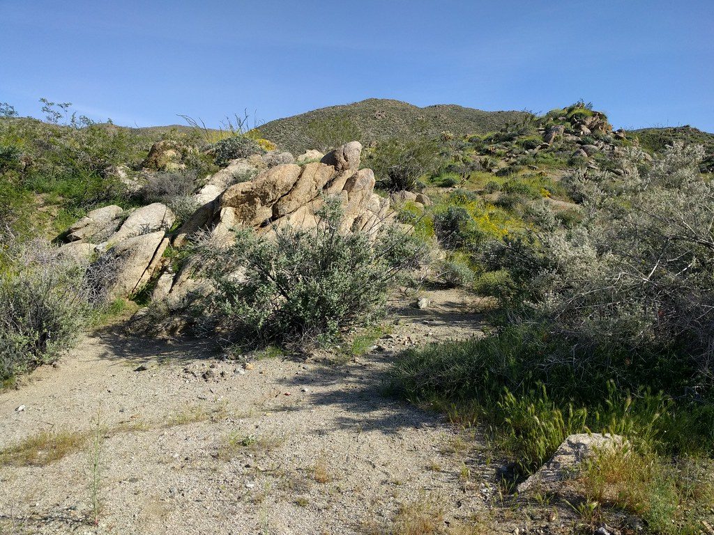 Rocky desert and slightly greenish hills.
