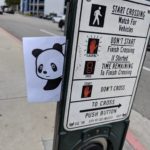 Panda peeping out from behind a crosswalk button stand.