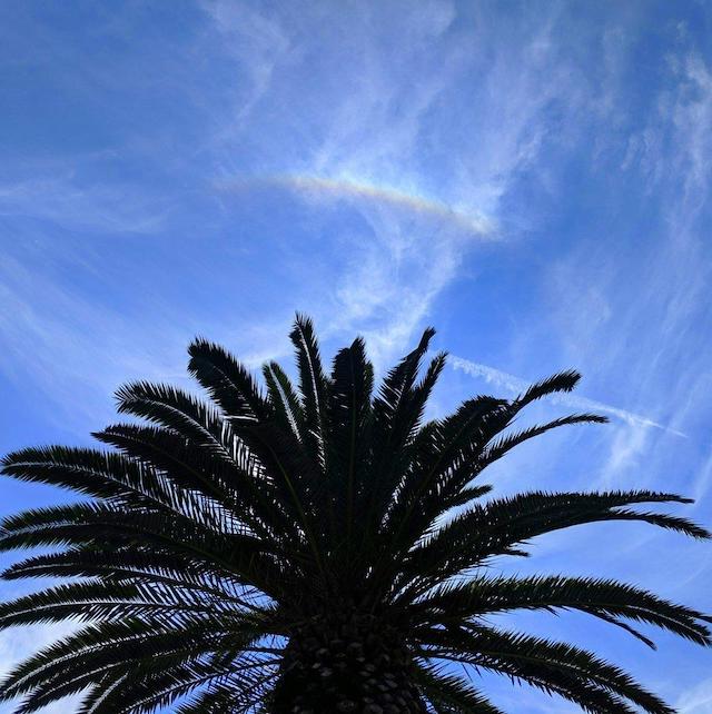 A short rainbow-like arc in the sky, backed by wispy clouds and appearing above the silhouette of a palm tree.