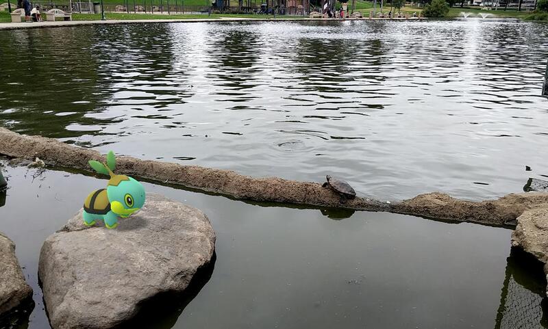 A turtle-like Pokemon on a rock in a pond, near a real turtle on a concrete berm.
