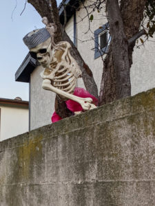 Skeleton decoration in pirate regalia leaning over a wall.